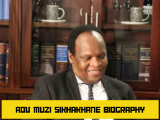 adv muzi sikhakhane biography